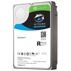 Seagate SkyHawk 10 TB